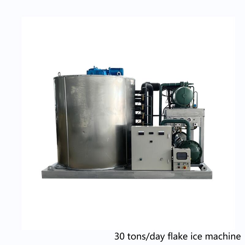 30T ice flake machine