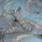 Slurry-ice-machine-3