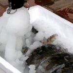 Slurry-ice-machine-6