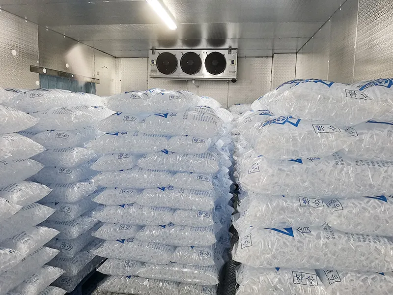 Ice Storage Room