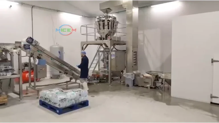 Automatic Tube Ice Packing Line shown in the actual running video