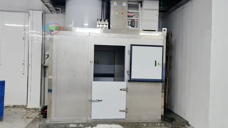 Traditional Flake Ice Room shown in the actual running video